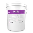 Ercole